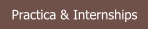 Practica & Internships